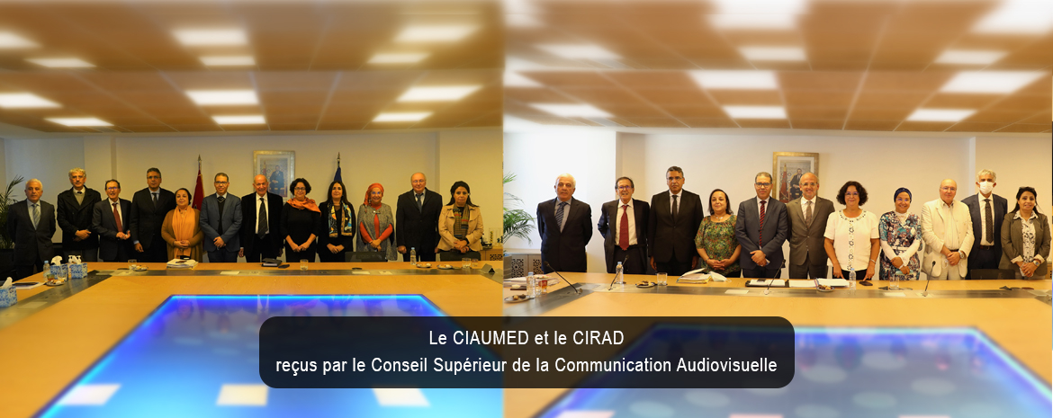 Le CIAUMED et le CIRAD reçus par le Conseil Supérieur de la Communication Audiovisuelle