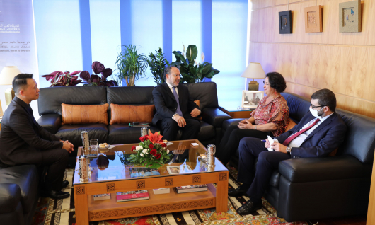 La Présidente de la HACA s'entretient avec le Sous-Directeur général pour la communication et l'information de l’UNESCO, M. Tawfik Jelassi