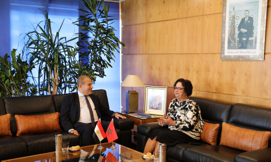 L'Ambassadeur de la République Arabe d'Égypte, S.E. M. Ahmed Nehad Abdel-Latif, reçu à la HACA