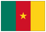 http://shop.flagshop.com/media/catalog/product/cache/1/image/9df78eab33525d08d6e5fb8d27136e95/f/l/flag-world-cameroon.gif